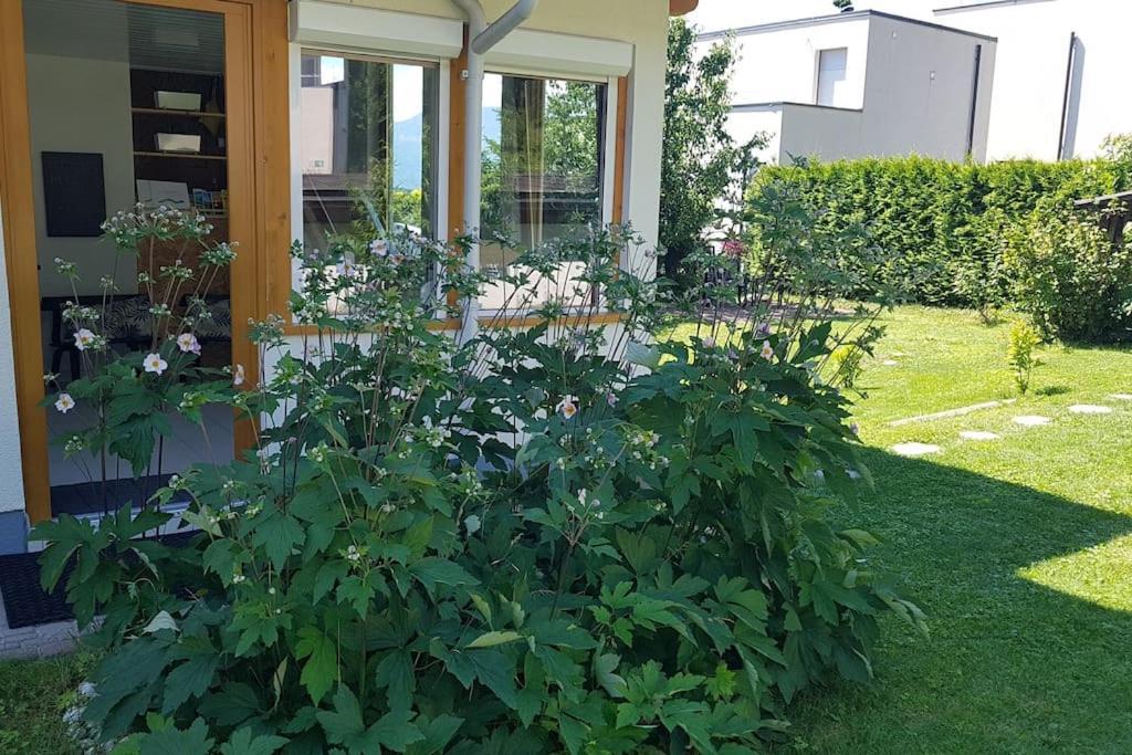 Ferienwohnung: Your home on the hill - Velden am Wörthersee Exterior foto